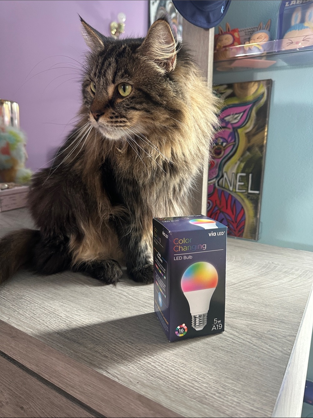 Color Changing A19 LED Bulb - Multicolor - Picture 1 of 3